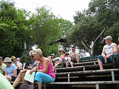 115 Cairns Tropical Zoo